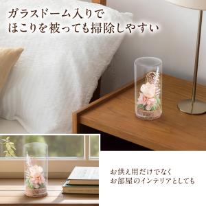 プリザーブド仏花 ミニガラスドーム ピンク ア...の詳細画像3