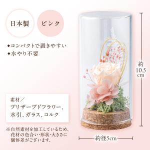 プリザーブド仏花 ミニガラスドーム ピンク ア...の詳細画像5