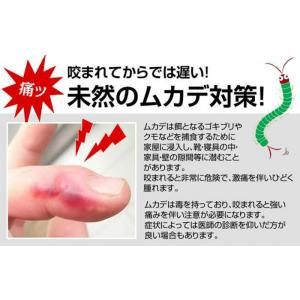 ムカデキラー部隊 10包入 30日間 忌避剤 ...の詳細画像2