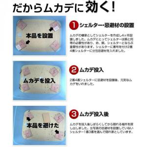 ムカデキラー部隊 10包入 30日間 忌避剤 ...の詳細画像4
