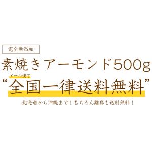 アーモンド 送料無 素焼きアーモンド 500g...の詳細画像4