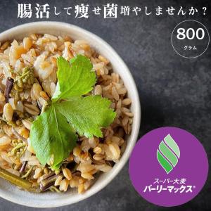 スーパー大麦 送料無 バーリーマックス 800g 大麦