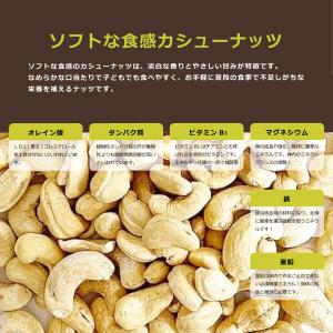カシューナッツ 850g カシュー ナッツ お...の詳細画像3