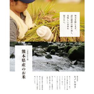 破格! 米 お米 10kg ヒノヒカリ 熊本県...の詳細画像2