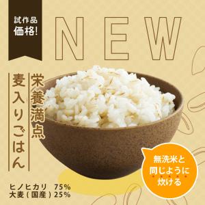 【在庫処分SALE】 米 お米 10kg ヒノ...の詳細画像5