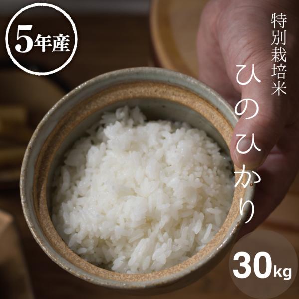 米 お米 30kg ヒノヒカリ 熊本県産 特別栽培米 令和5年産 玄米30kg 精米27kg ひのひ...
