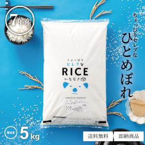 キヌヒカリ 米 お米 5kg 熊本県産 令和7年産 精米5kg きぬひかり