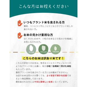 5kgあたり2,990円〜 米 お米 10kg...の詳細画像5