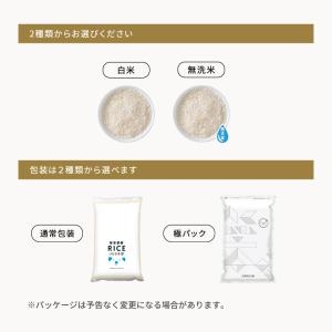 【在庫処分SALE】米 お米 5kg くまさん...の詳細画像4