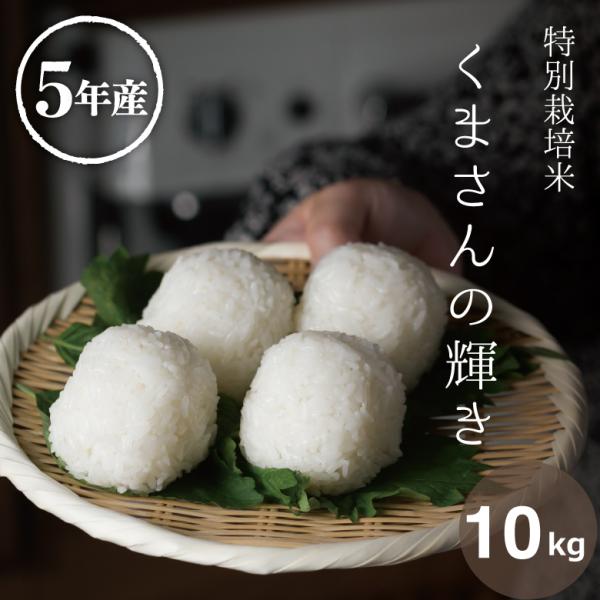 米 お米 10kg くまさんの輝き 熊本県産 特別栽培米 令和5年産 5kg×2袋