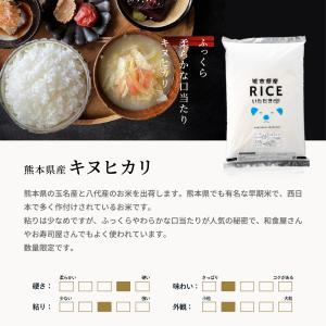 【令和8年産 新米入荷!】 米 お米 10kg...の詳細画像3