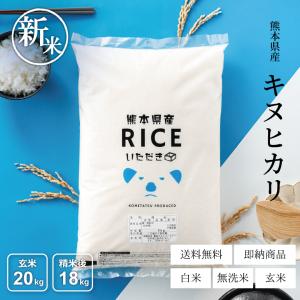 米 お米 30kg キヌヒカリ 熊本県産 令和5年産 玄米30kg 精米27kg きぬひかり