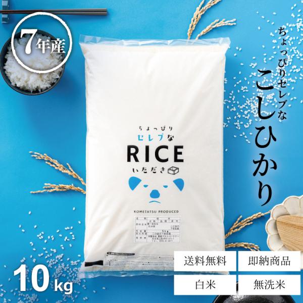 米 お米 10kg ちょっぴりセレブな コシヒカリ 国内産 令和7年産 こしひかり 優良