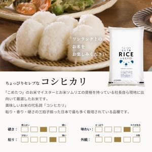 【令和8年産 新米入荷!】 米 お米 5kg ...の詳細画像3