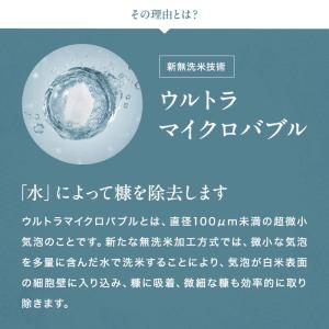 【在庫処分SALE】【暮らし応援価格!】コシヒ...の詳細画像3
