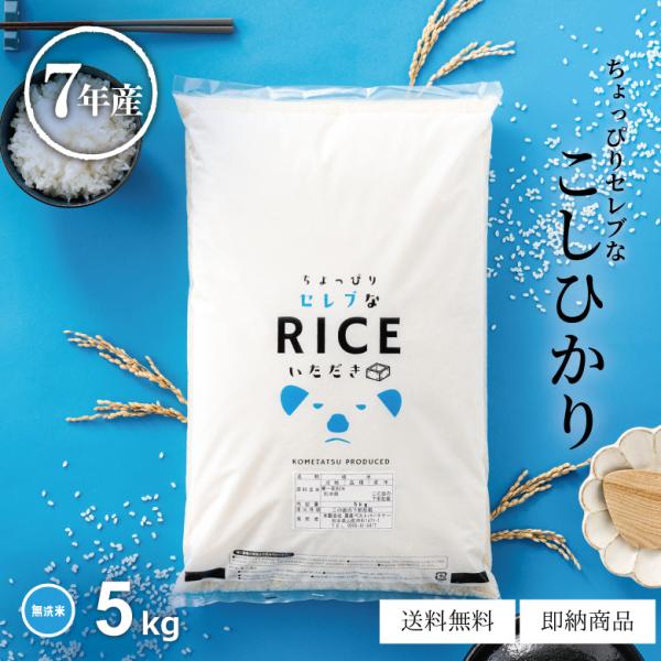 米 お米 5kg ちょっぴりセレブな コシヒカリ 無洗米 国内産 令和7年産 無洗米5kg こしひか...