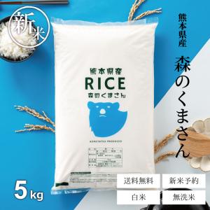 米 お米 5kg 森のくまさん 熊本県産 令和5年産 精米5kg