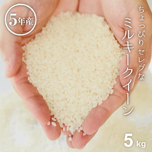 米 お米 5kg ちょっぴりセレブな ミルキークイーン 国内産 令和5年産 精米5kg