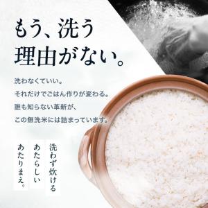 【在庫処分SALE】【暮らし応援価格!】米 お...の詳細画像2