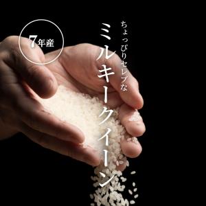 【在庫処分SALE】【暮らし応援価格!】米 お...の詳細画像3