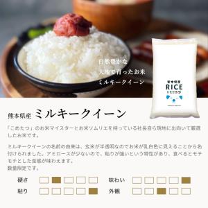 米 お米 10kg ミルキークイーン 無洗米 ...の詳細画像2