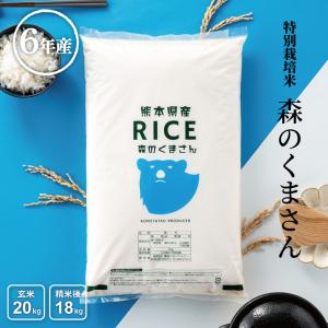 米 お米 20kg 森のくまさん 熊本県産 特別栽培米 令和5年産 玄米20kg 精米18kg｜fuchigami