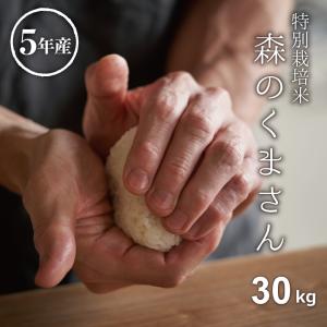 米 お米 30kg 森のくまさん 熊本県産 特別栽培米 令和5年産 玄米30kg 精米27kg｜fuchigami