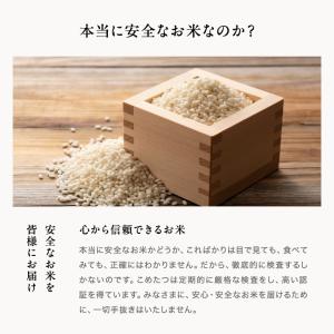 【暮らし応援価格】米 もち米 精米20kg ヒ...の詳細画像4