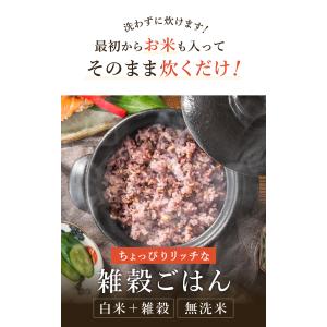 米 5kg ちょっぴりリッチな雑穀ごはん 5k...の詳細画像1