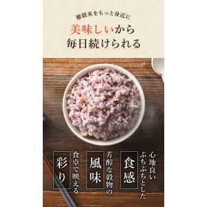 米 5kg ちょっぴりリッチな雑穀ごはん 5k...の詳細画像5