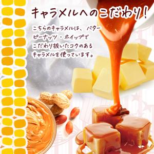 メープルポップコーン 150g バタフライ型 ...の詳細画像2