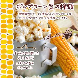 メープルポップコーン 150g バタフライ型 ...の詳細画像3