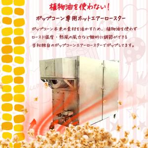 メープルポップコーン 150g バタフライ型 ...の詳細画像4