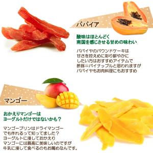 ドライフルーツミックス 800g 【全国送料無...の詳細画像5