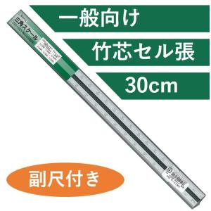 ステッドラー シャーペン 0.5mm 限定色 (グリーン) ヘキサスケール 一般用 30cm 再生アクリル樹脂製 TAKEDA 三角スケール