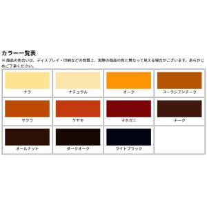 ホシュール カラースプレー 300ml 家具 ...の詳細画像1