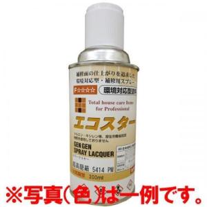 エコスター 超高隠蔽 300ml スプレー ホワイトカラー F☆☆☆☆ エフフォースター キャンディルデザイン ハウスボックス