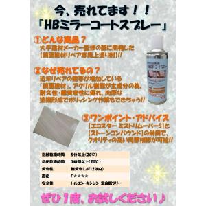 HB ミラーコートスプレー 鏡面1液スプレー ...の詳細画像1