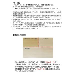 エコスター UVガード 300ml 艶調整 ス...の詳細画像1