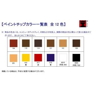 ペイントチップ ペイントボックスのチップ単品 ...の詳細画像1