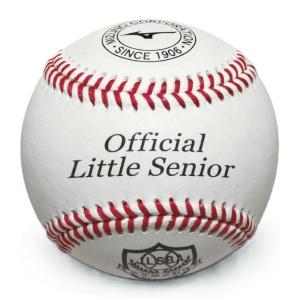 MIZUNO（ミズノ） 【MIZUNO】ミズノ 硬式用／試合球 ビクトリー