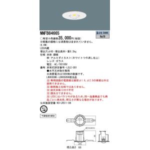 Panasonic（パナソニック） NNCF23135J LE9 LED非常照明 一体型階段灯