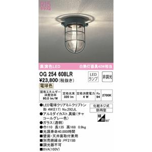 OG254609LR：ブラケット 非調光タイプ 電球色 白熱灯40W相当 防雨型