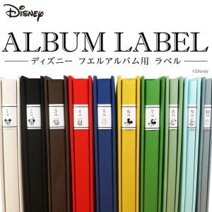 千趣会 雑貨ディズニー・ドリームコレクション キャラクタービッグ