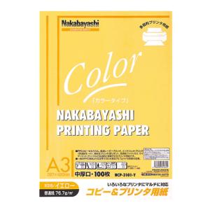 ナカバヤシ コピー＆プリンタ用紙 カラータイプ A3サイズ 100枚入 HCP-3101-Y