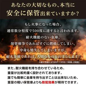 【軒先渡し】ダイヤセーフ 家庭用耐火金庫 NE...の詳細画像1