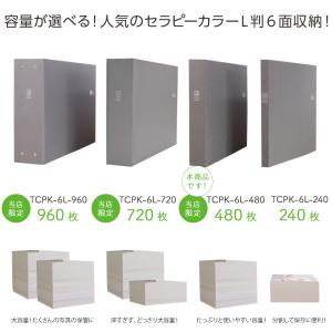 【WEB限定品】 アルバム 大容量 見開き12...の詳細画像4