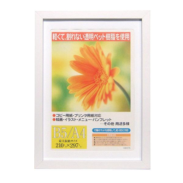 イワタ ai FRAME OA額 ガーベラ ホワイト A4 GM-154W-A4