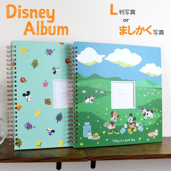アルバム 大容量 【WEB限定品】ナカバヤシ ディズニー 窓抜き ましかくリング式アルバム WORA...