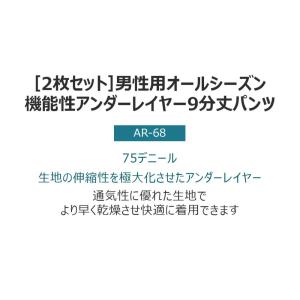 2枚セット 送料無料 ARMEDES コンプレ...の詳細画像1